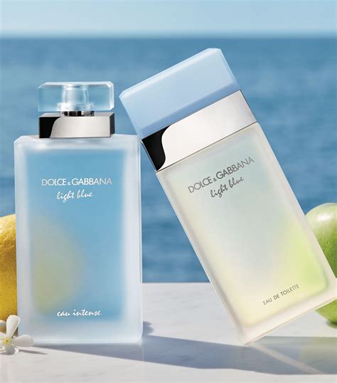 dolce gabbana light blue price